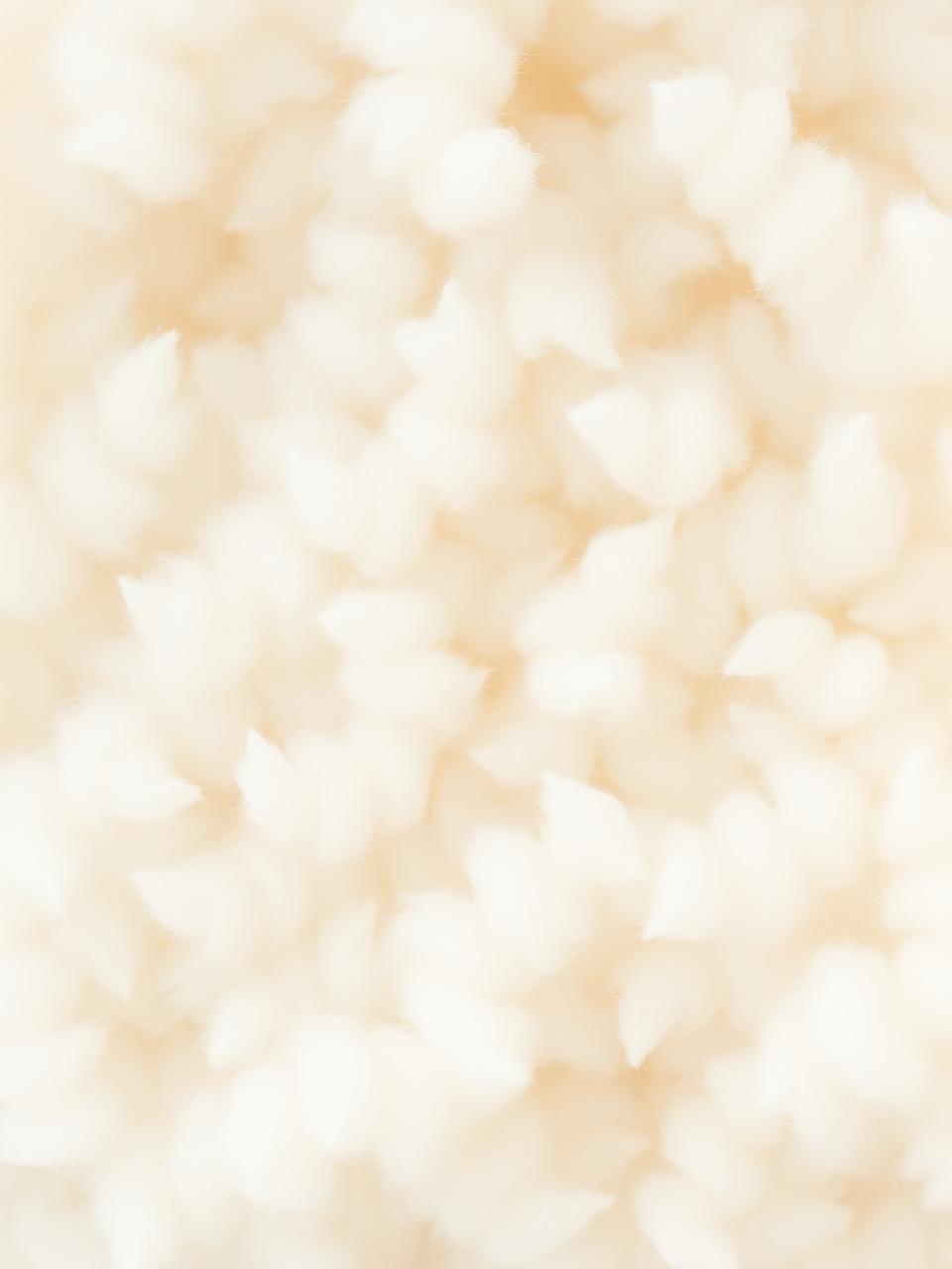 Soft virgin wood pulp fibers — 100% virgin pulp source